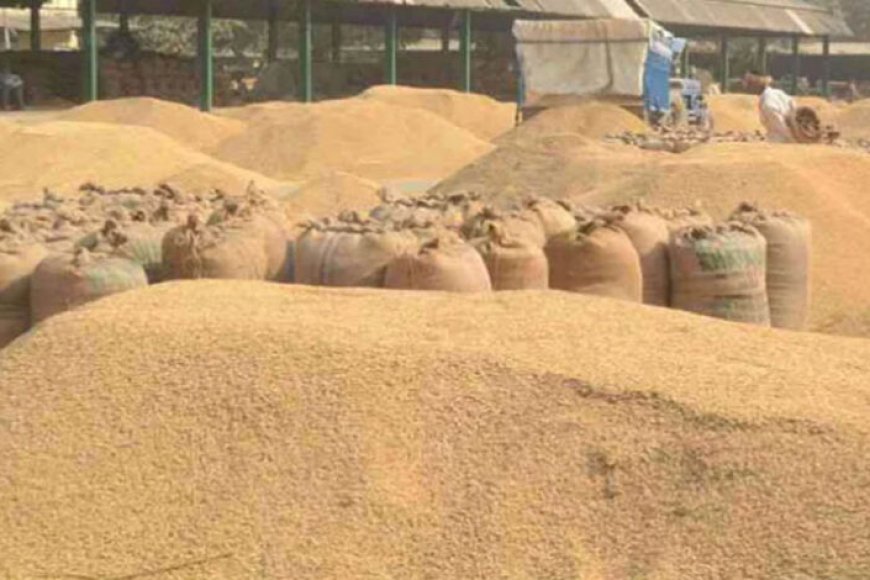 धान खरीद में नया रिकॉर्ड: 4 लाख से अधिक किसानों से खरीदा गया 25 लाख मीट्रिक टन धान