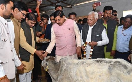 मुख्यमंत्री डॉ. यादव ने ग्राम पंचायत मढ़ी महिदपुर में ग्राम सभा में हुए शामिल