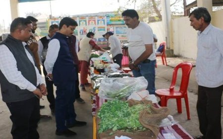 कृषक कल्याण वर्ष में किसानों को मिल रही है वैज्ञानिक कृषि तकनीक की जानकारी