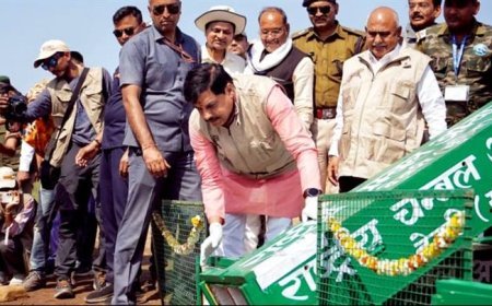 वन्य-जीव संरक्षण और संवर्धन हमारी प्राथमिकता : मुख्यमंत्री डॉ. यादव