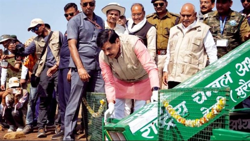 वन्य-जीव संरक्षण और संवर्धन हमारी प्राथमिकता : मुख्यमंत्री डॉ. यादव