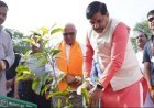 मुख्यमंत्री डॉ.मोहन यादव ने सिंगरौली के सूर्या भवन में पौध-रोपण किया।