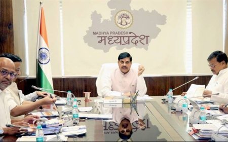 सौर ऊर्जा के उपयोग को अधिकाधिक प्रोत्साहित करें : मुख्यमंत्री डॉ. यादव
