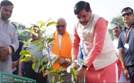 मुख्यमंत्री डॉ.मोहन यादव ने सिंगरौली के सूर्या भवन में पौध-रोपण किया।