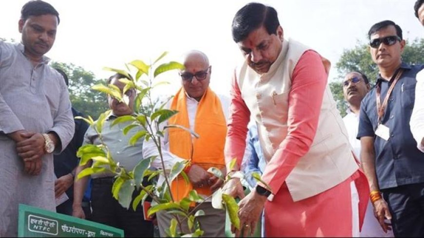 मुख्यमंत्री डॉ.मोहन यादव ने सिंगरौली के सूर्या भवन में पौध-रोपण किया।