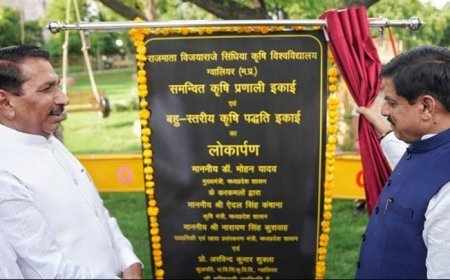 उन्नत खेती व पशुपालन से बढ़ायेंगे किसानों की आमदनी : मुख्यमंत्री डॉ. यादव