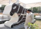 आशीर्वाद का दीया आयोजन के तहत उपयोग किए गए दीयों से बनी नंदी की भव्य आकृति