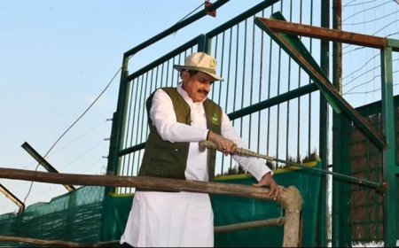 कान्हा टाइगर रिजर्व के सूपखार में सौ साल बाद जंगली भैंसों की वापसी