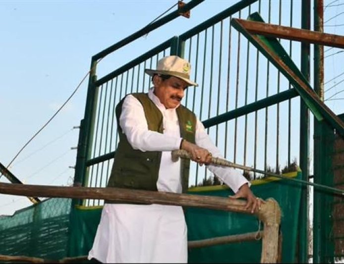 कान्हा टाइगर रिजर्व के सूपखार में सौ साल बाद जंगली भैंसों की वापसी